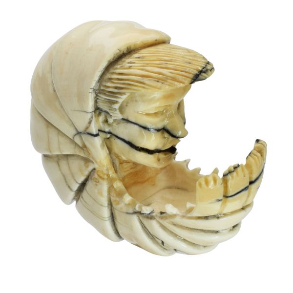 Donald the Tiger(Prawn) Netsuke auf Bronzesockel