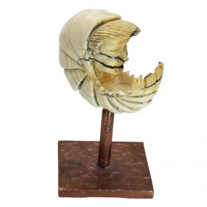 Donald the Tiger(Prawn) Netsuke auf Bronzesockel