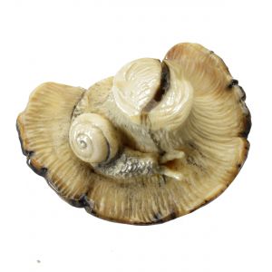 verrottender Pilz mit Schnecke Netsuke