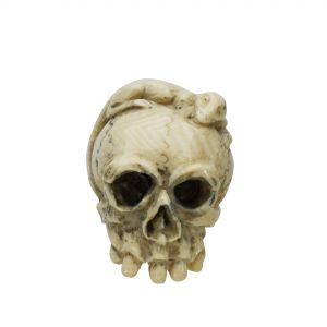 Totenschädel  mit Eidechse Netsuke